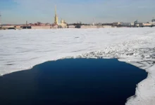 drozdenko o likvidaczii drona v lenoblasti po dannym minoborony-dmvv-ru-0