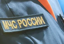 МЧС и добровольцы ведут активные поиски подростков в Звенигороде mchs i dobrovolczy vedut aktivnye poiski podrostkov v zvenigorode-dmvv-ru-0