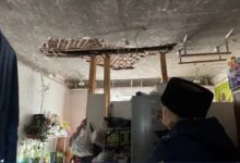 Прокуратура Приморья защищает многодетную семью в Уссурийске prokuratura primorya zashhishhaet mnogodetnuyu semyu v ussurijske-dmvv-ru-0