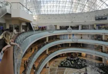 Сергей Миронов и Павел Люлин о росте популярности фудкортов sergej mironov i pavel lyulin o roste populyarnosti fudkortov-dmvv-ru-0