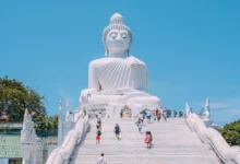 Владивосток и Пхукет укрепляют связи – открываются новые горизонты vladivostok i phuket ukreplyayut svyazi otkryvayutsya novye gorizonty-dmvv-ru-0