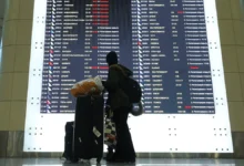 Внуково, Домодедово и Шереметьево принимают рейсы – помогла Росавиация vnukovo domodedovo i sheremetevo prinimayut rejsy pomogla rosaviacziya-dmvv-ru-0