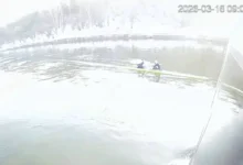 Западное МСУТ СК РФ обеспокоено инцидентами на Москве-реке zapadnoe msut sk rf obespokoeno inczidentami na moskvereke-dmvv-ru-0