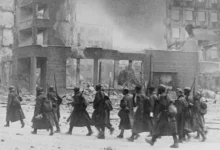 Зинченко и пленение Паулюса – интриги героя Сталинграда zinchenko i plenenie paulyusa intrigi geroya stalingrada-dmvv-ru-0