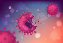 Антон Попов из ИТЭБ РАН рассказал о нанокапсулах против рака anton popov iz iteb ran rasskazal o nanokapsulah protiv raka-dmvv-ru-0