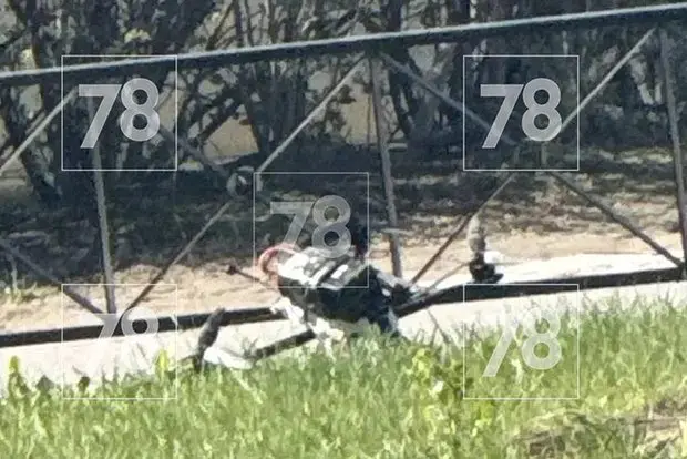 Вводная картинка