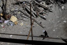 dzhej di vens i mohammad galibaf ishhut puti dialoga ssha i irana-dmvv-ru-0