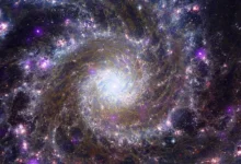 ФБР и НАСА расследуют исчезновения ученых — дело Маккасланда fbr i nasa rassleduyut ischeznoveniya uchenyh delo makkaslanda-dmvv-ru-0