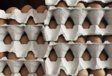 Госдума и Максим Шаскольский предложили регуляцию цен на продукты gosduma i maksim shaskolskij predlozhili regulyacziyu czen na produkty-dmvv-ru-0