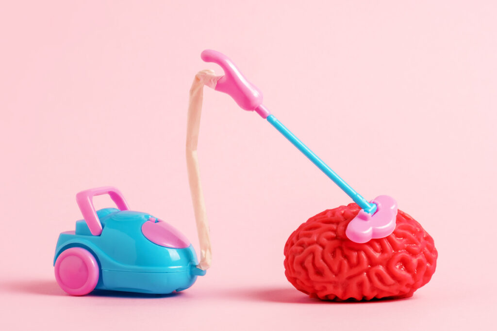 Маленький пылесос очищает модель мозга