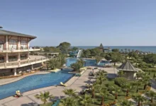 naczsoyuz turindustrii otmetil rost sprosa na kitaj vetnam-dmvv-ru-0