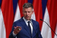 Петер Мадьяр и партия Тиса обновят политику Венгрии peter madyar i partiya tisa obnovyat politiku vengrii-dmvv-ru-0