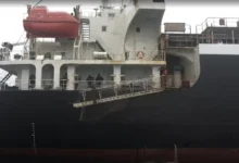 sudebnye pristavy vo vladivostoke uderzhivayut inostrannoe sudno-dmvv-ru-0