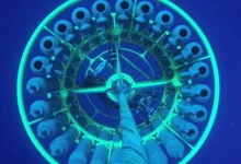 Ученые открыли как микробные сообщества поддерживают жизнь в океане! uchenye otkryli kak mikrobnye soobshhestva podderzhivayut zhizn v okeane-dmvv-ru-0