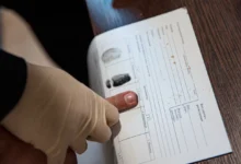 umvd primorya zaderzhalo inostrancza posle inczidenta u kafe vo vladivostoke-dmvv-ru-0