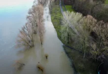 zhasmin i hasbulla magomedov podderzhali semyu postradavshuyu v dagestane-dmvv-ru-0