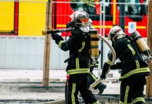 17   imel proisshestviya vo franczii i frg-dmvv-ru-0