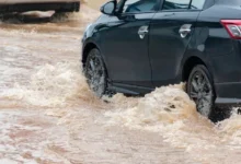 operativnye mery v krasnodare i krymskom rajone posle silnyh dozhdej-dmvv-ru-0