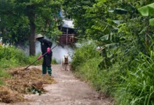 Осенний план работ в саду и на огороде kak podgotovit sad i ogorod k zime polnyj plan rabot-dmvv-ru-0