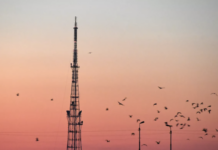 40237063-7110-4a09-af3d-e63bdb9e1b25-67bcb29c