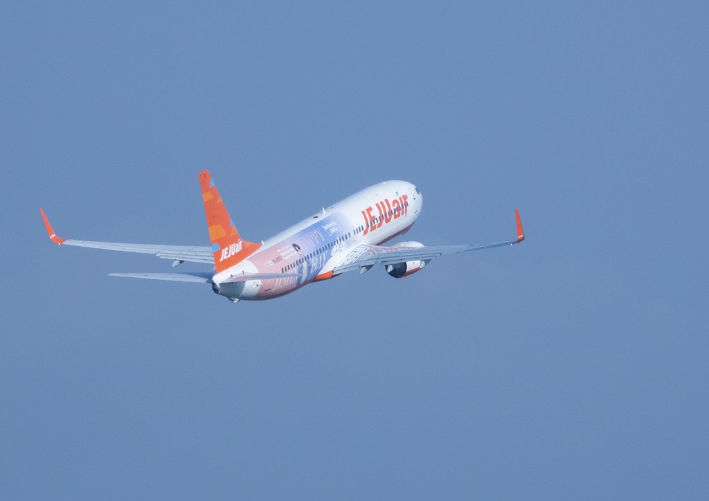 В Jeju Air ответили на вопрос о неполадках в самолете до крушения в Муане
