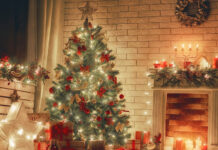 Экологичная утилизация новогодней елки принесет пользу окружающей среде 192bed81-f464-41a0-bd8a-808e7feaba39-67d5d361