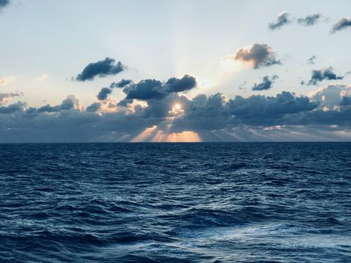 ERR: корабли НАТО начали патрулировать Балтийское море