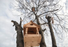 Январские работы в саду для защиты и питания зимующих обитателей 74e441f5-f5de-4ed2-a772-679318463840-67dd9105