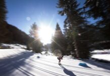 b9747ede-7253-417e-91e9-08df3cde21cd-67caee23  gazetarf