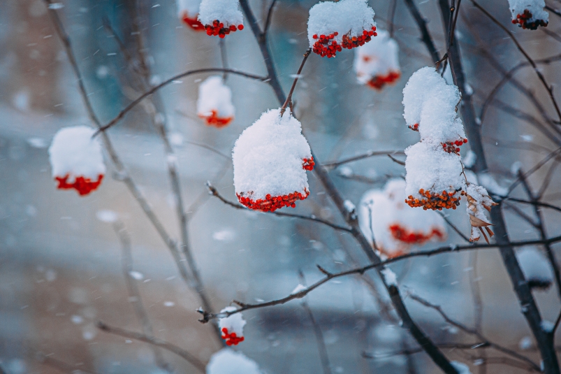 Фото: primamedia.ru