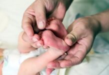 678648ff-4451-457d-8ba0-45a02bf794fc-67fb7bef  gazetarf