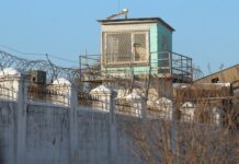 В алтайской колонии произошла трагедия с пожилым заключенным 82135af7-9c02-473c-b885-aa7b3cba73fe-67fba8b5