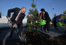 Путин посетил Парк покорителей космоса в Энгельсе 9b634000-922d-48c9-8e40-9216cee75038-6809b07d