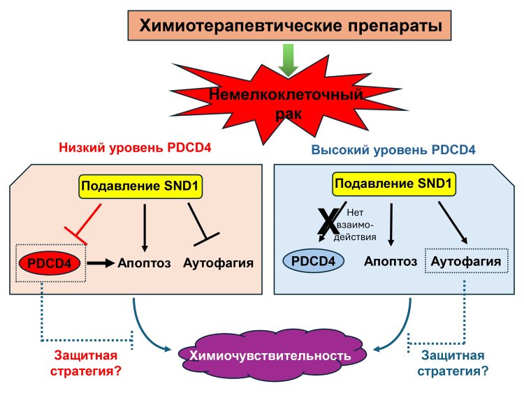 scientificrussia.ru