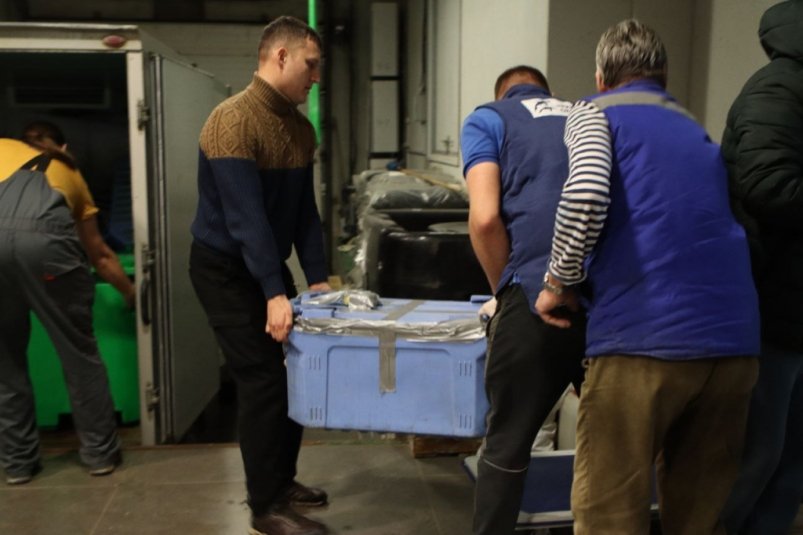 В Приморском океанариуме завершили переселение новых обитателей Приморский Океанариум