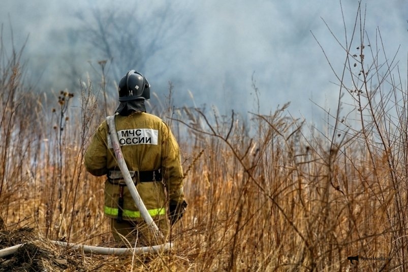 Пожароопасный сезон в Приморье ИА PrimaMedia