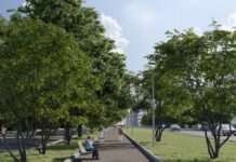 Больше зелени и новые газоны ждут Ленинский проспект bolshe zeleni i novye gazony zhdut leninskij prospekt-gazetarf-ru-174121700000-0