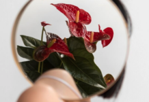 Раскрытие потенциала с Кадрия Велес путь к гармонии и счастью современной женщины raskrytie potencziala s kadriya veles put k garmonii i schastyu sovremennoj zhenshhiny-gazetarf-ru-174226876600-0