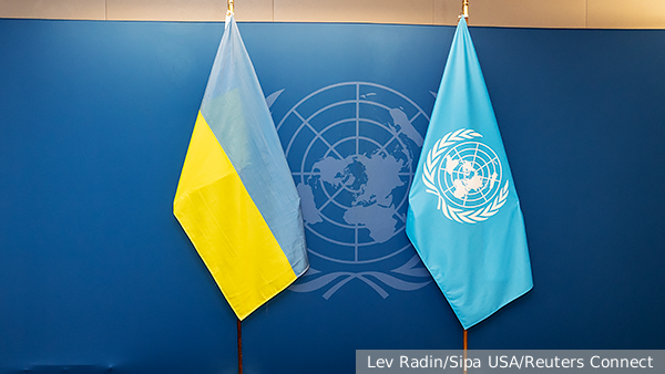 Эксперт оценил перспективы введения внешнего управления на Украине