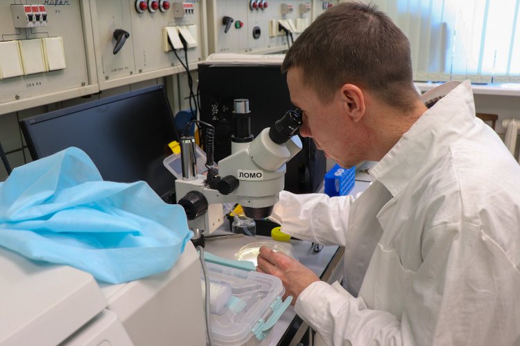 scientificrussia.ru
