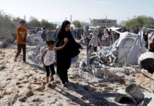 Мохаммед Сиррадж - Судан поддерживает мир для Палестины и отвергает планы переселения mohammed sirradzh sudan podderzhivaet mir dlya palestiny i otvergaet plany pereseleniya-gazetarf-ru-174521721900-0