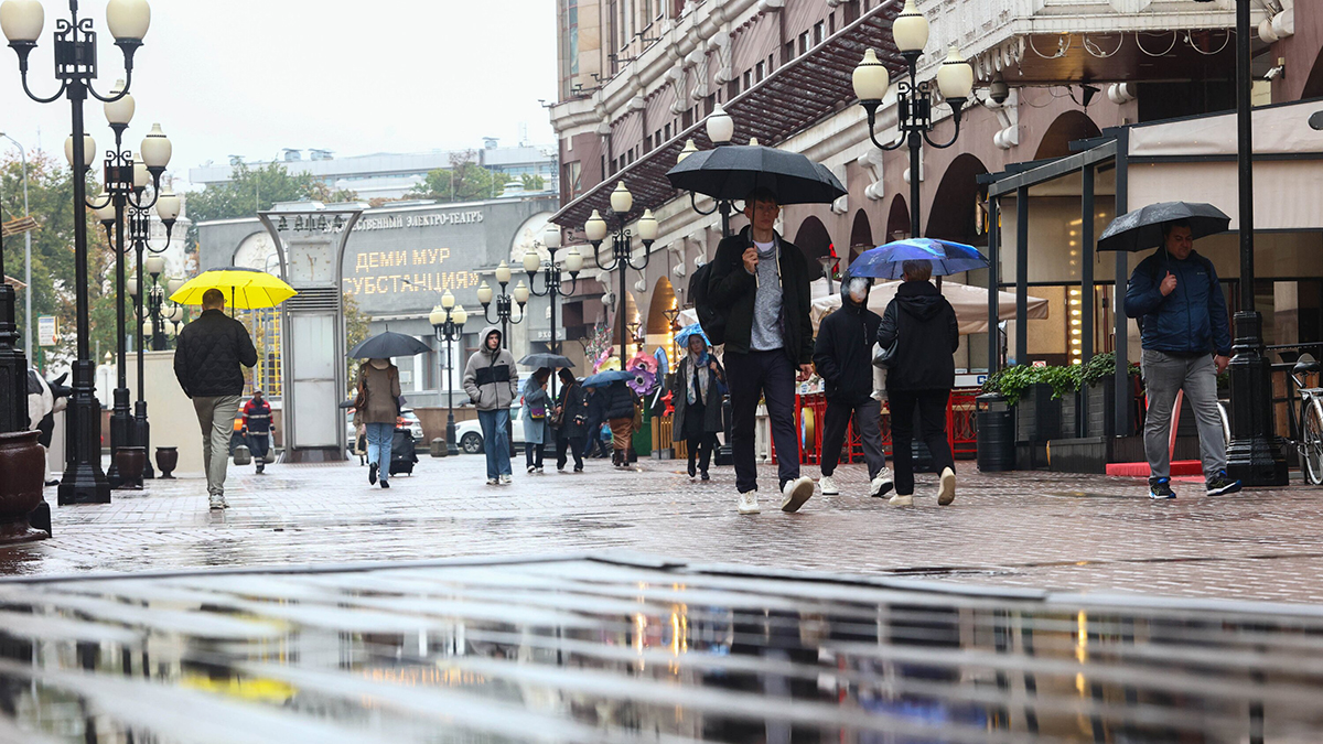 Синоптики предупредили москвичей о дождливой погоде 25 апреля