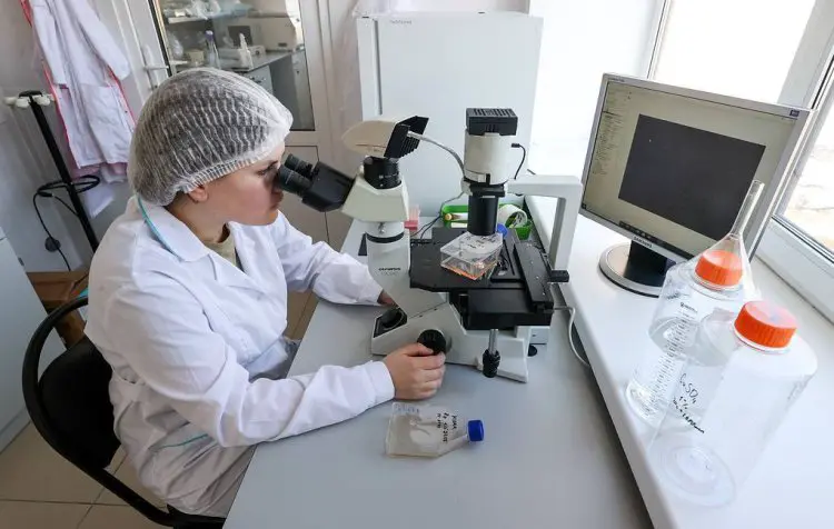 scientificrussia.ru