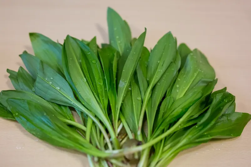 Фото: primamedia.ru