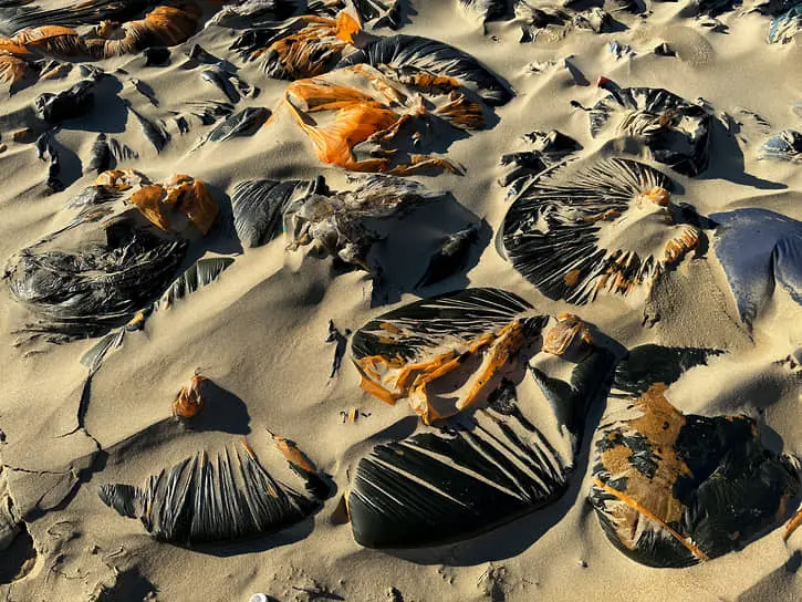 МЧС России и партнёры успешно очищают Черное море у берегов Анапы и Керченского пролива-0