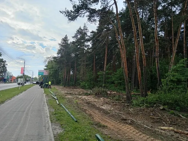Жители Подмосковья заявили, что строители начали вырубать скандальный Булонский лес | Источник: Дмитрий Емельянов, Раменское / T.me 