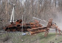 vsu naczeleny na rylskij i homutovskij rajony kurskoj oblasti-gazetarf-ru-174643923100-0