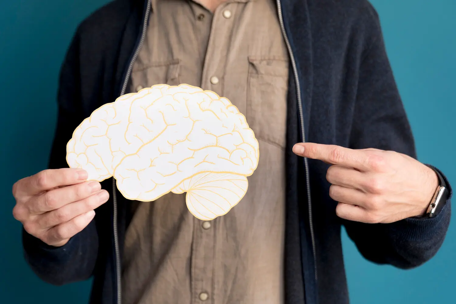 Как PCL-R и Julich-Brain Atlas раскрывают роль мозга в человеческом поведении-0
