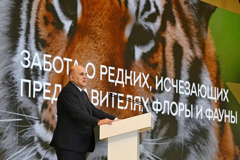 Михаил Мишустин на пленарном заседании Международной экологической конференции в Манжероке