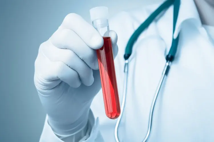 scientificrussia.ru